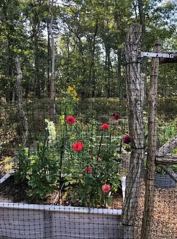 58 Hagerty Drive Vineyard Haven MA 02568