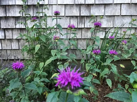 58 Hagerty Drive Vineyard Haven MA 02568