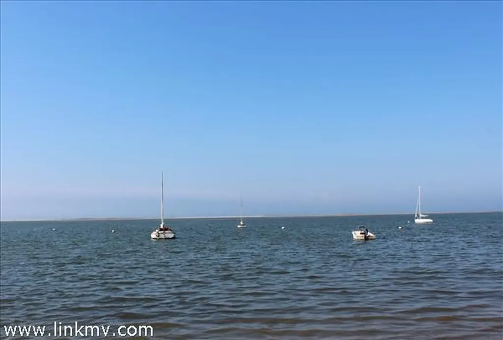 37 Jeremiah Road Edgartown MA 02539