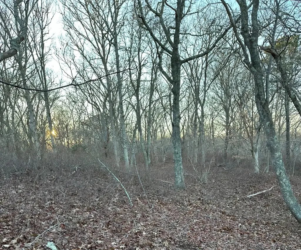 34 Ebens Lane Chilmark MA 02535