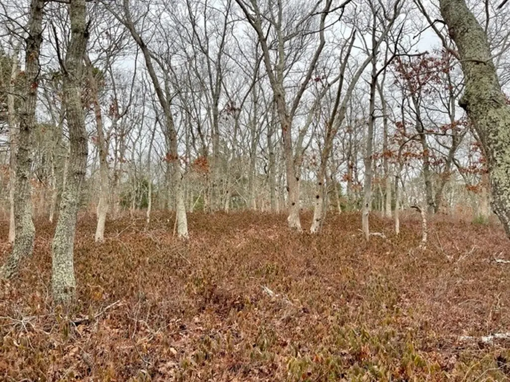 00 Red Coat Hill Road Vineyard Haven MA 02568