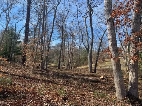 Baylis Woods Tashmoo Avenue Vineyard Haven MA 02568