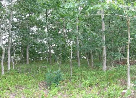 15 Mclellan Way Vineyard Haven MA 02575