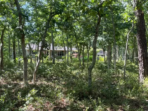 32 Meshaket Way Oak Bluffs MA 02557