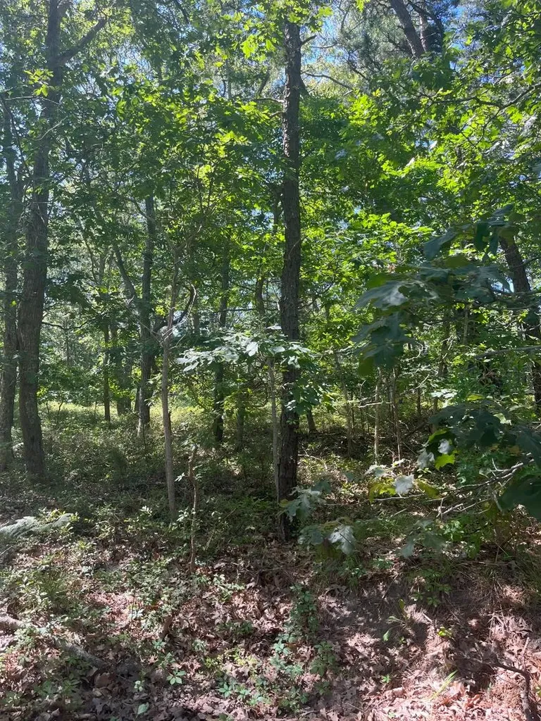 0 Crowell Lane Lot 9 Vineyard Haven MA 02568