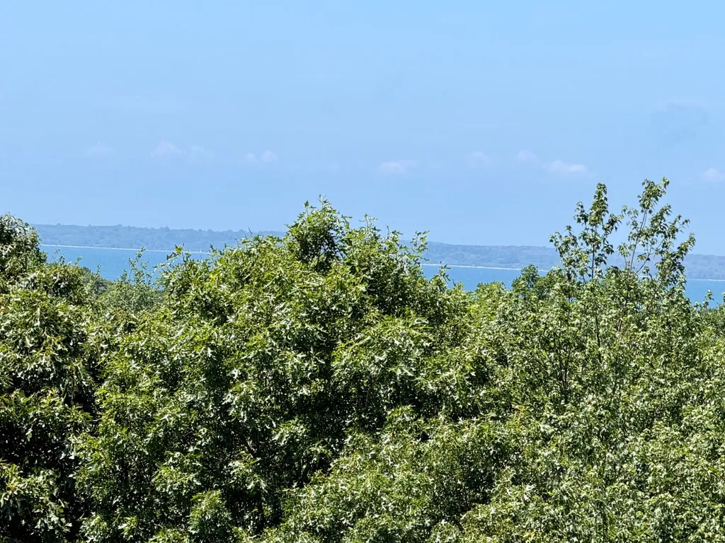 12 Brook Hollow Road West Tisbury MA 02575
