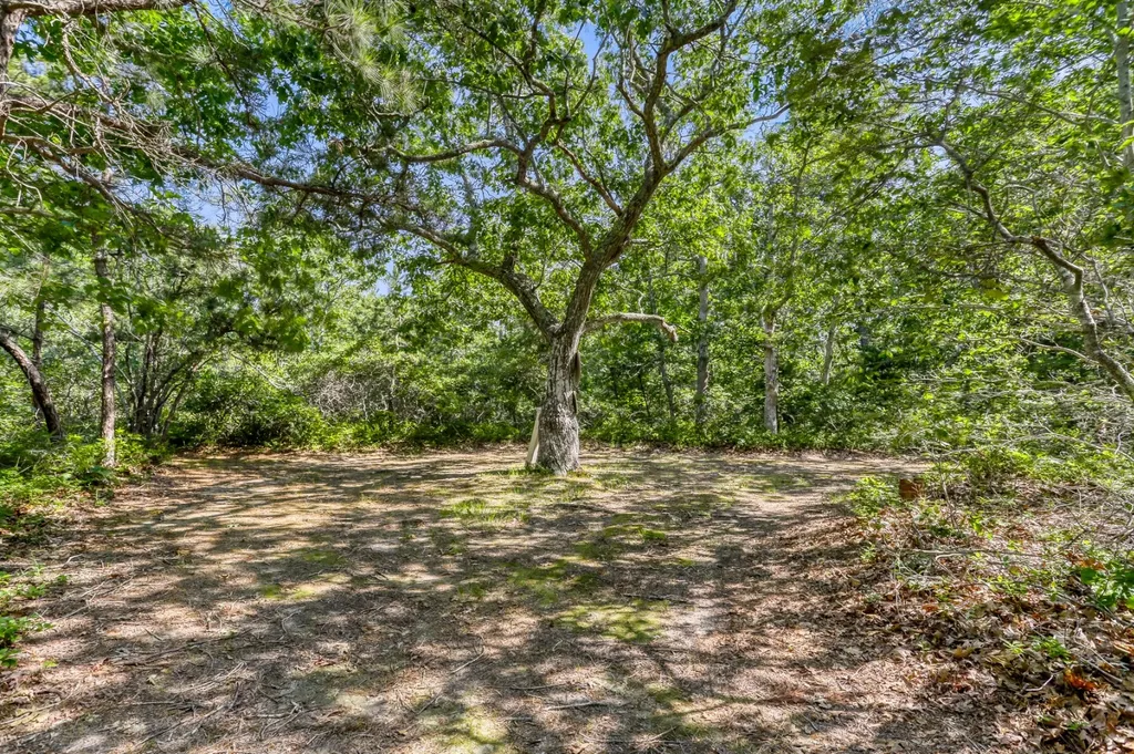 42 Field View Lane West Tisbury MA 02575