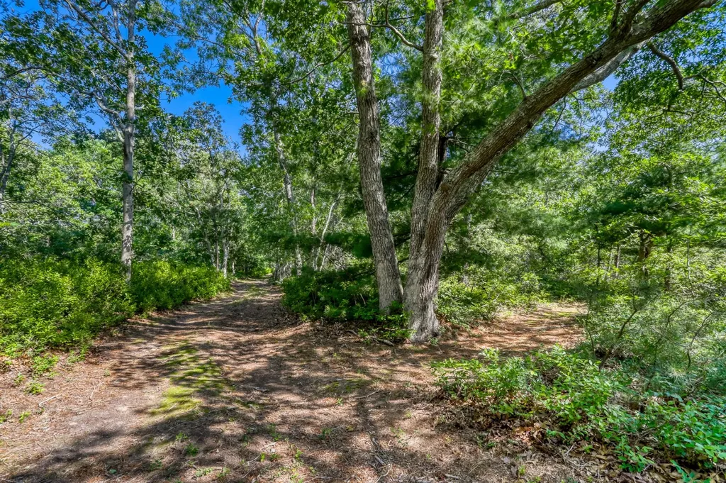 42 Field View Lane West Tisbury MA 02575
