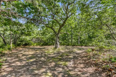 42 Field View Lane West Tisbury MA 02575