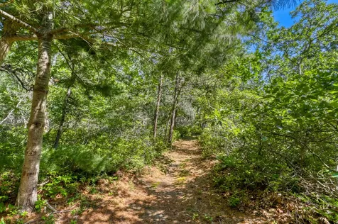 42 Field View Lane West Tisbury MA 02575