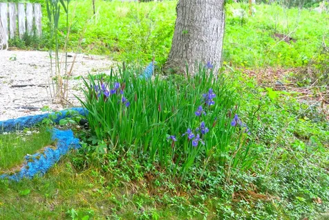 66 Canonicus Avenue Oak Bluffs MA 02557