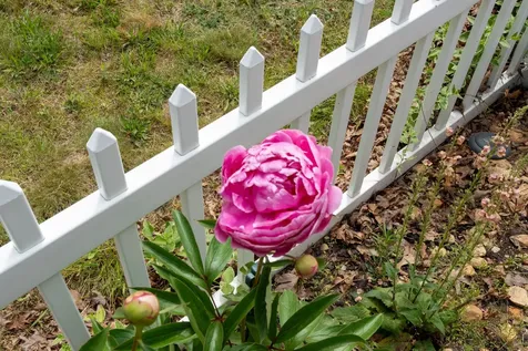 145 Vineyard Meadow Farms Road West Tisbury MA 02575