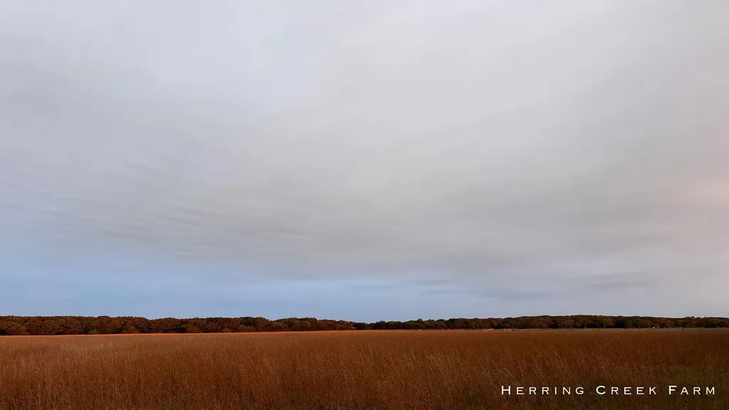 57 Butlers Cove Edgartown MA 02539