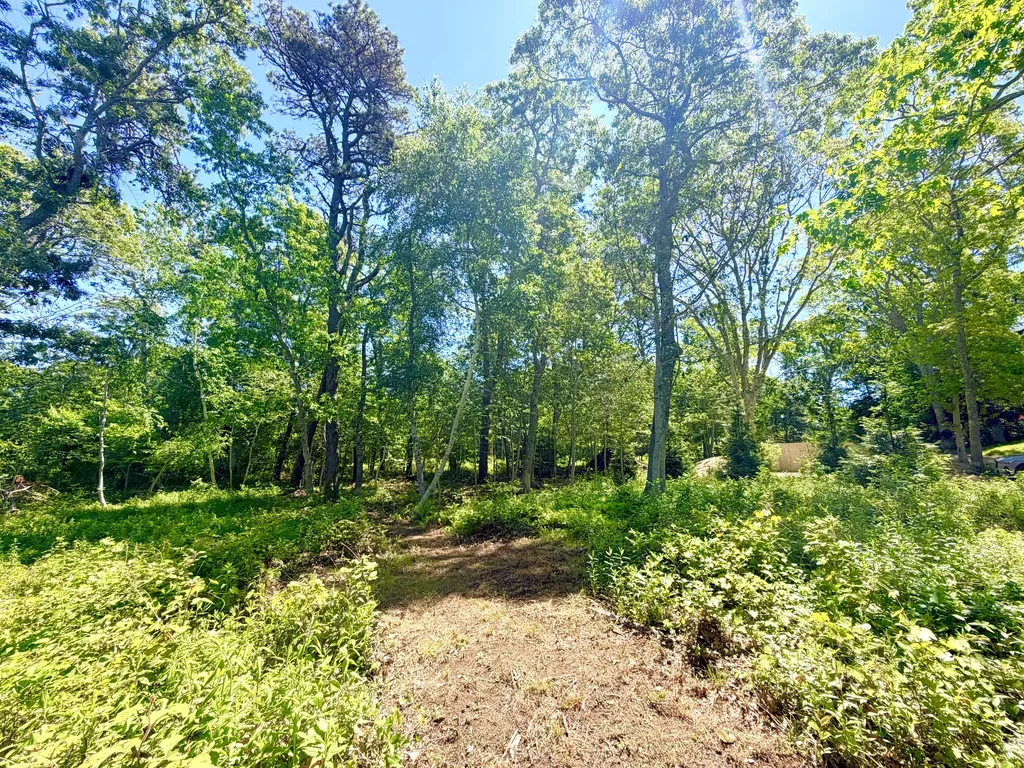 52 Heath Hen Lane Vineyard Haven MA 02568