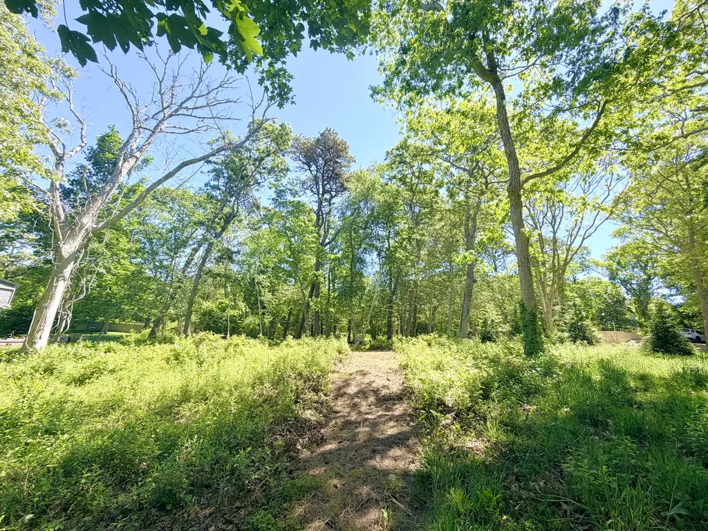 52 Heath Hen Lane Vineyard Haven MA 02568