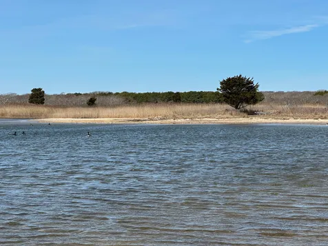 0, 36, 38 Black Point Road Chilmark MA 02535