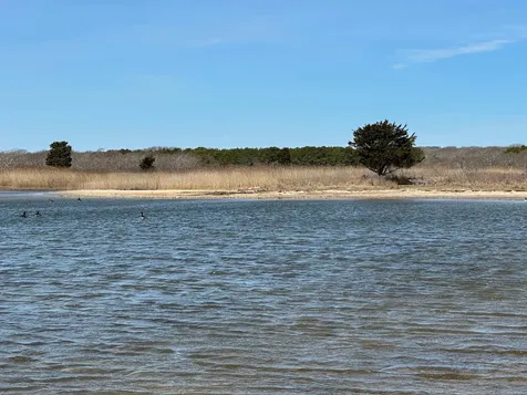 0, 36, 38 Black Point Road Chilmark MA 02535