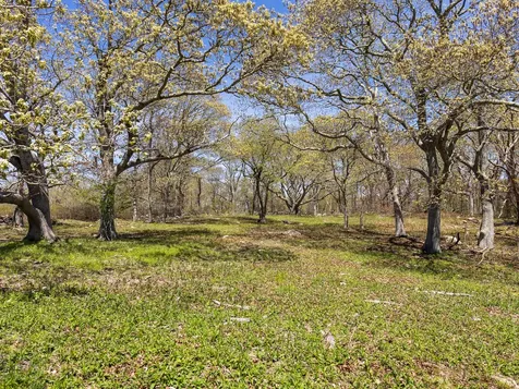 14 Ridge Road Aquinnah MA 02535