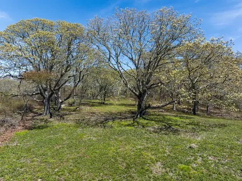14 Ridge Road Aquinnah MA 02535