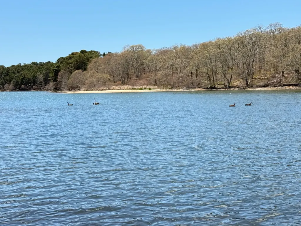 82 Oyster Pond Road Edgartown MA 02539