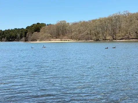 82 Oyster Pond Road Edgartown MA 02539