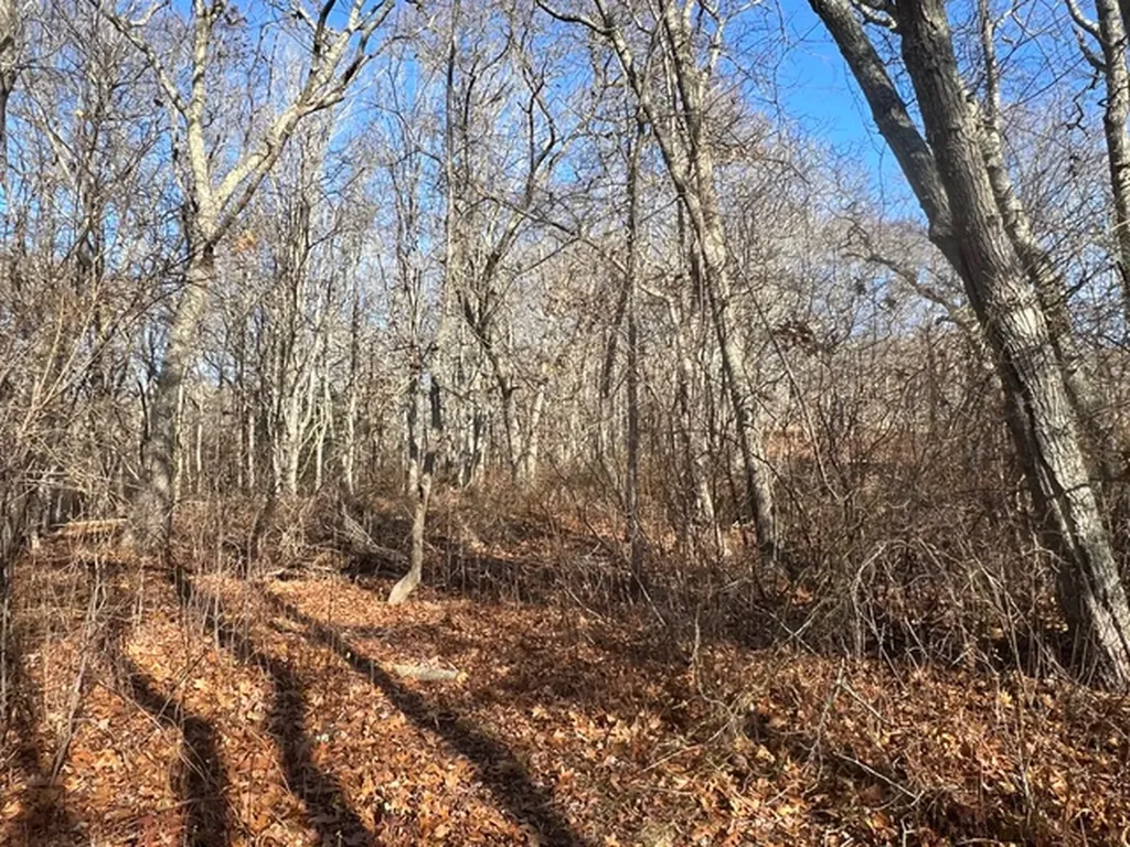 1 Old Field Road Aquinnah MA 02535