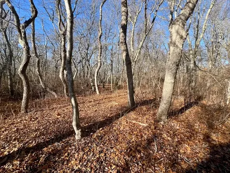 1 Old Field Road Aquinnah MA 02535