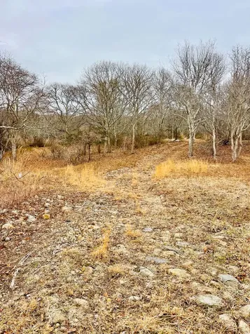 0 Jeffers Way Aquinnah MA 02535