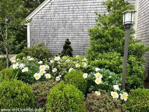 20 Edson Forest Road West Tisbury MA 02575