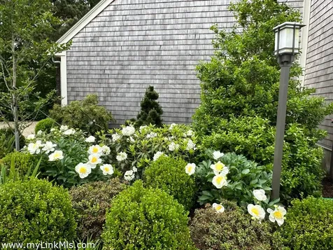 20 Edson Forest Road West Tisbury MA 02575