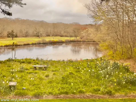 20 Edson Forest Road West Tisbury MA 02575