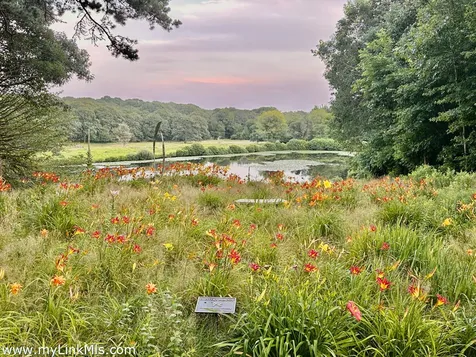 20 Edson Forest Road West Tisbury MA 02575