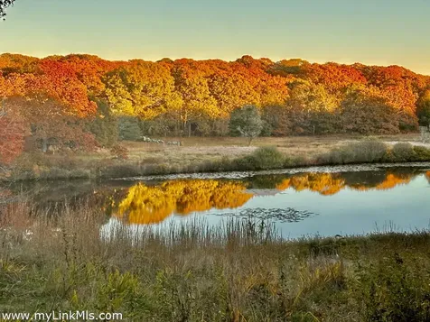 20 Edson Forest Road West Tisbury MA 02575