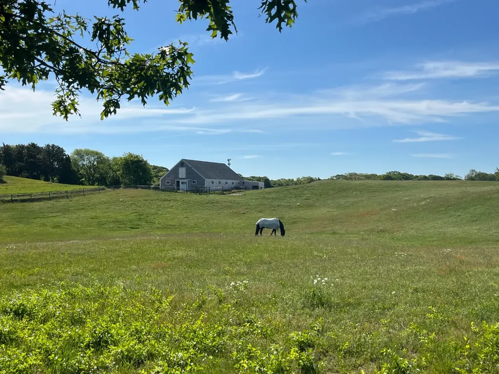 23 Beetle Swamp Road Edgartown MA 02539