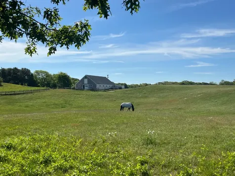 23 Beetle Swamp Road Edgartown MA 02539