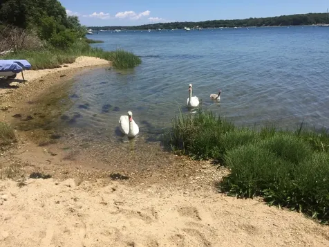 94 Weaver Lane Vineyard Haven MA 02568