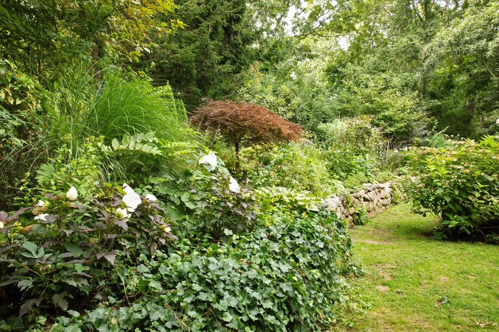 31 North Road Chilmark MA 02535