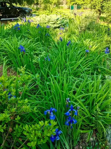 26 Bijahs Way Chilmark MA 02535