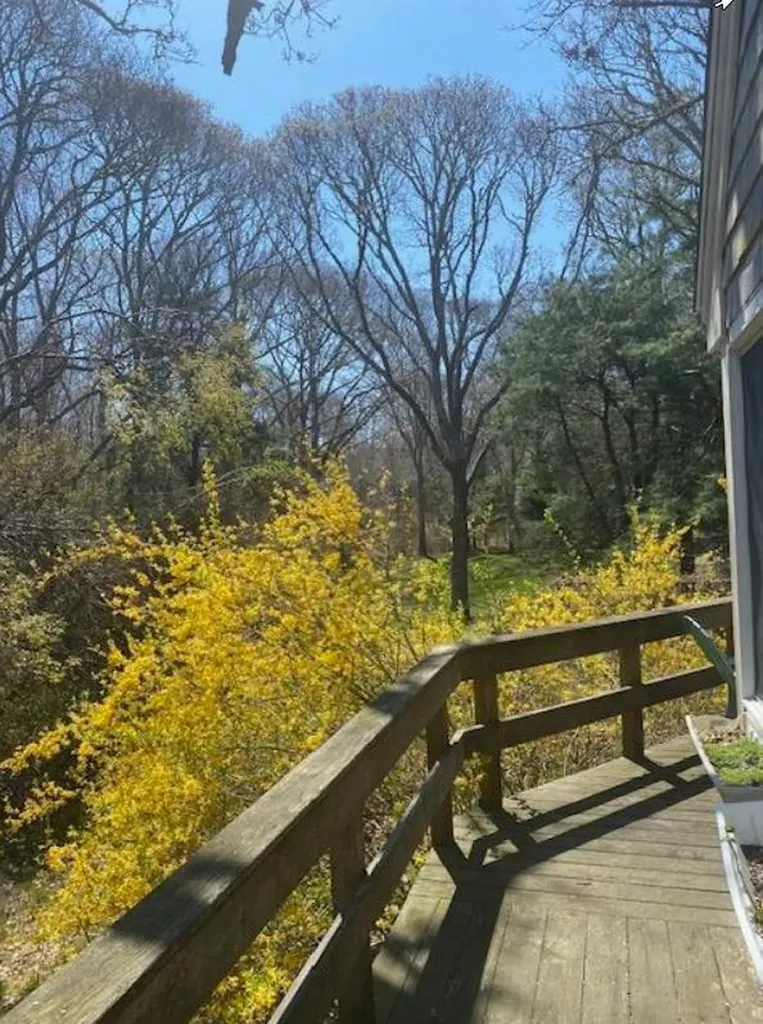 318 Lamberts Cove Road West Tisbury MA 02575