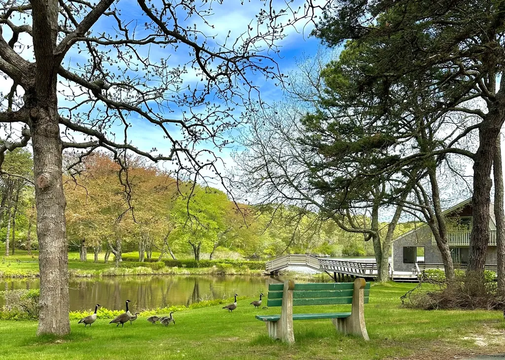 18 Wood Duck Way Oak Bluffs MA 02557