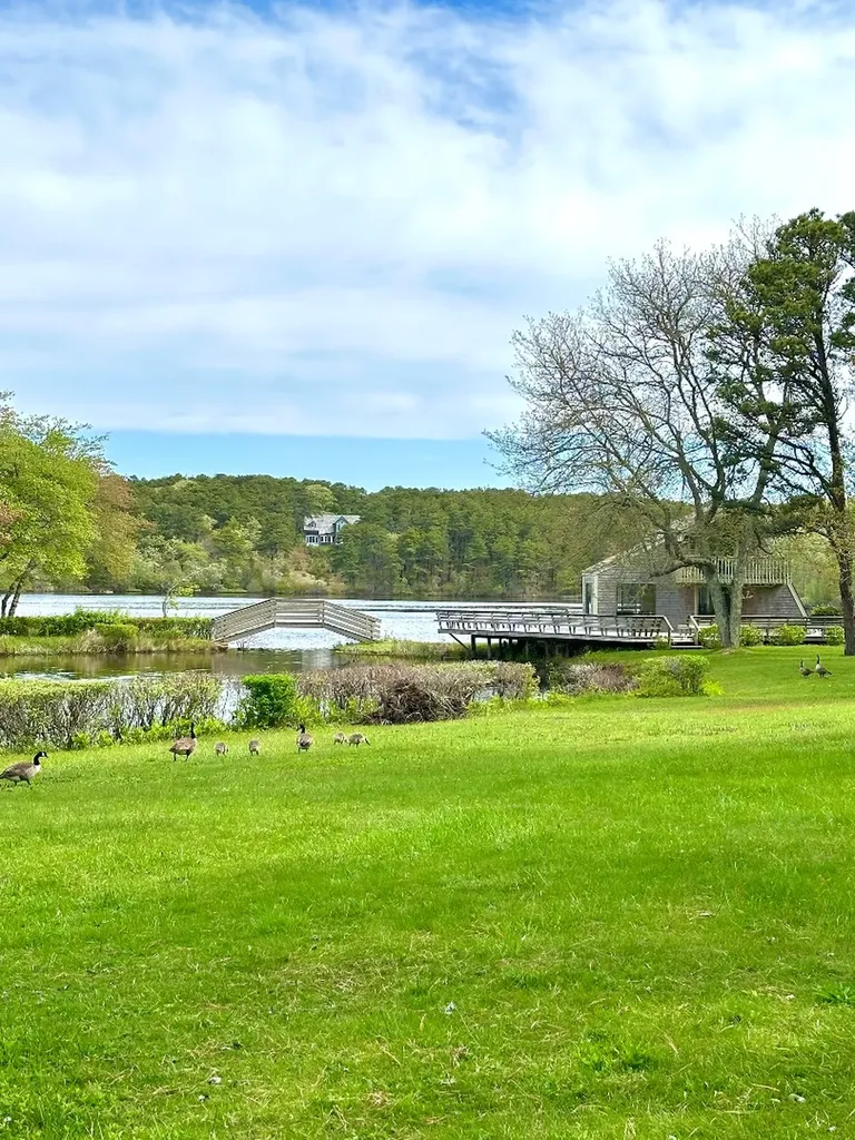 18 Wood Duck Way Oak Bluffs MA 02557