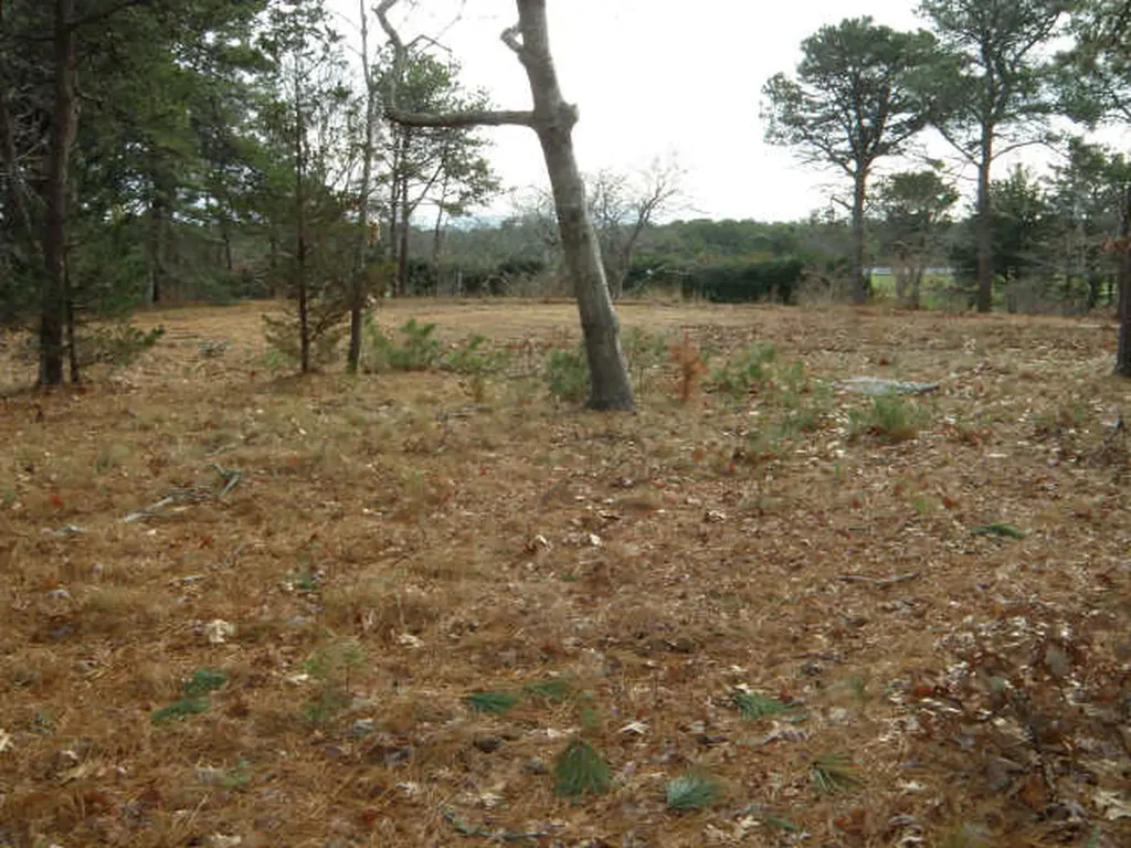 173 Katama Road Edgartown MA 02539