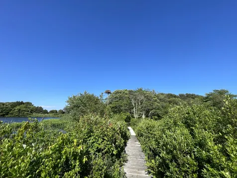 6 Stone Pound Way Oak Bluffs MA 02557
