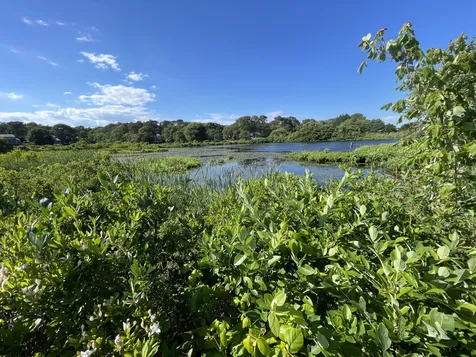 6 Stone Pound Way Oak Bluffs MA 02557