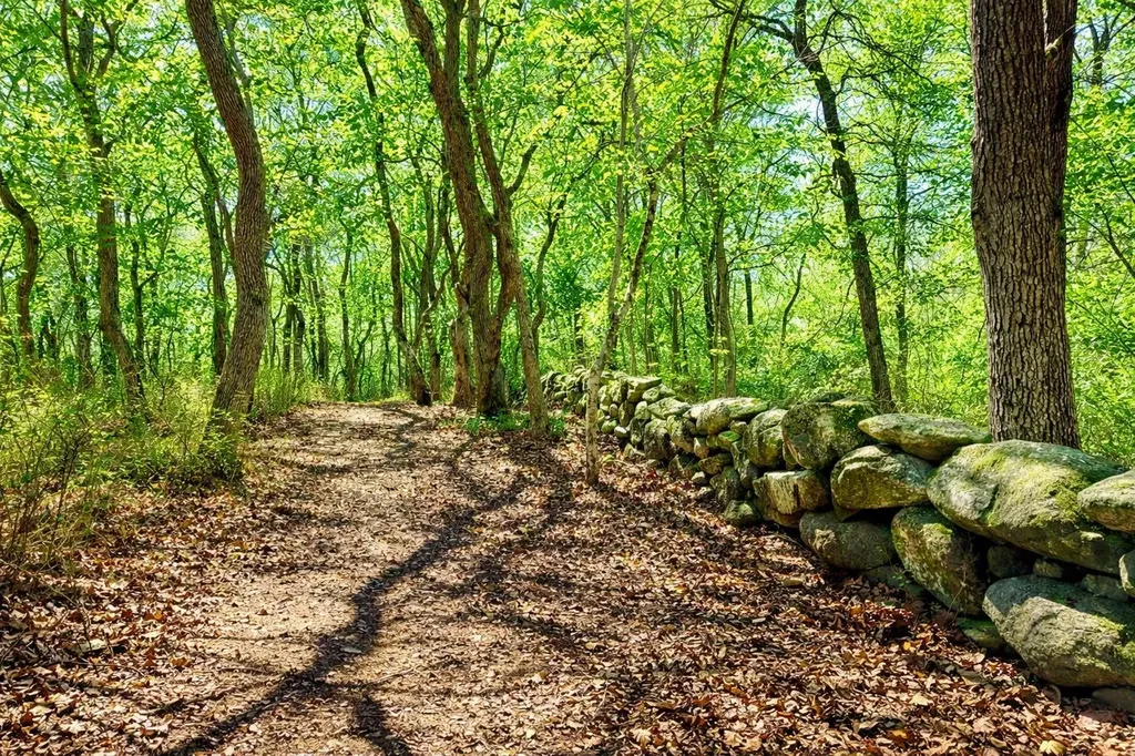 0 North Road/15 Belhaven Way Chilmark MA 02535