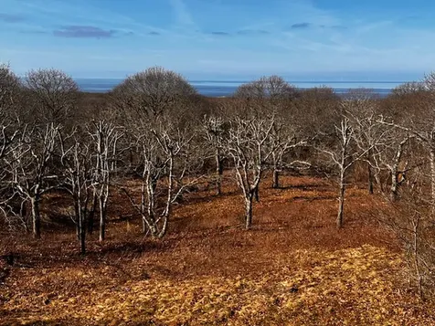 834 State Road Aquinnah MA 02535