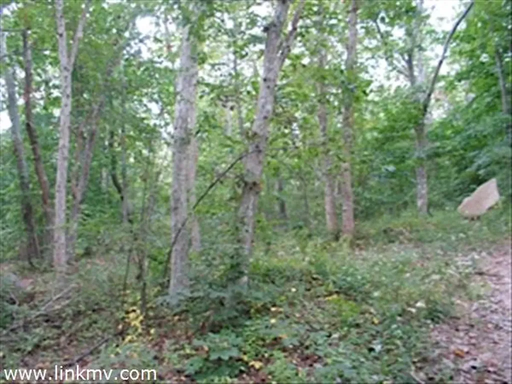 0 Indian Hill Road West Tisbury MA 02575