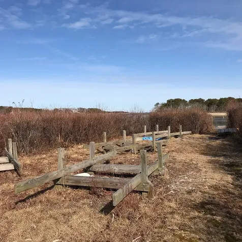 19 Majors Cove Lane Edgartown MA 02539