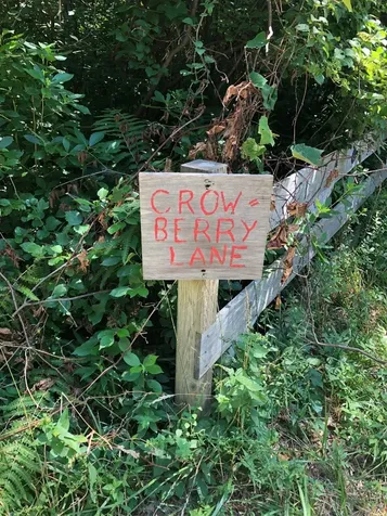 1 Crowberry Lane Chilmark MA 02535