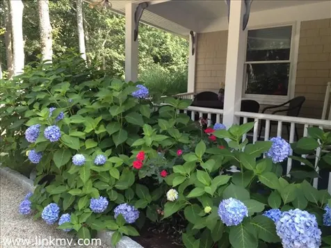 24 Black Brook Crossing West Tisbury MA 02575